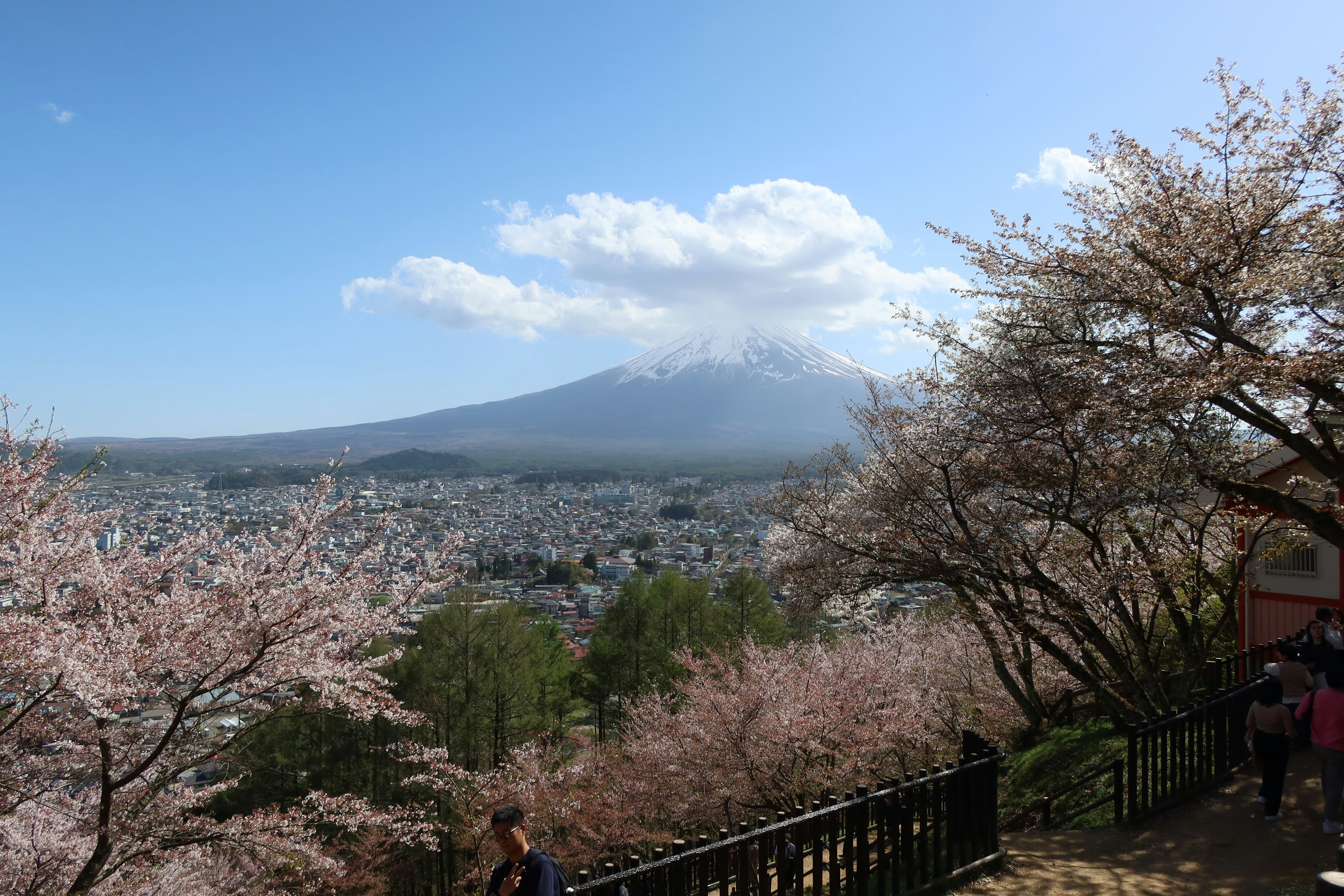Mount Fuji